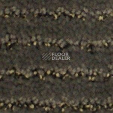Ковролин Radici Painstripe Humus 1301 фото 1 | FLOORDEALER